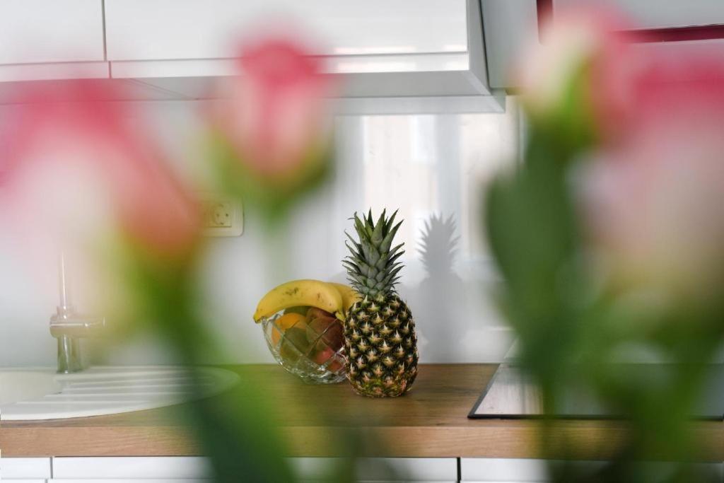 Apartment Lant Zadar Eksteriør bilde